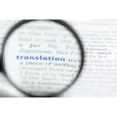 Translator of Fiction (5 Books)