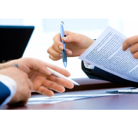 Translation of Legal Document (100 Pages)