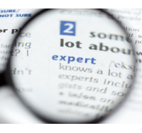 1000 Words Translation